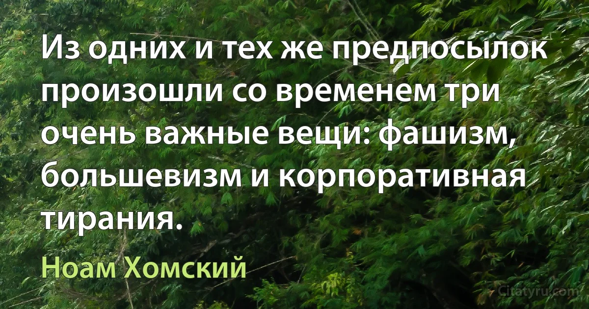 Из одних и тех же предпосылок произошли со временем три очень важные вещи: фашизм, большевизм и корпоративная тирания. (Ноам Хомский)