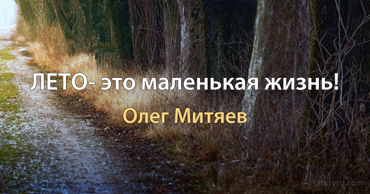 ЛЕТО- это маленькая жизнь! (Олег Митяев)