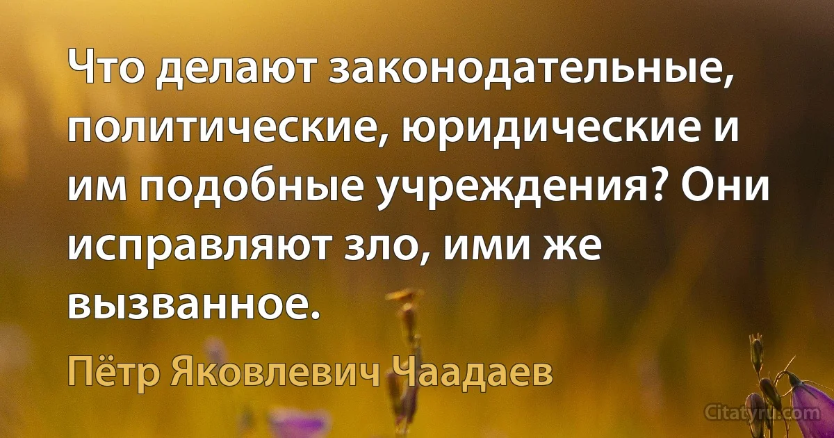 Что делают законодательные, политические, юридические и им подобные учреждения? Они исправляют зло, ими же вызванное. (Пётр Яковлевич Чаадаев)