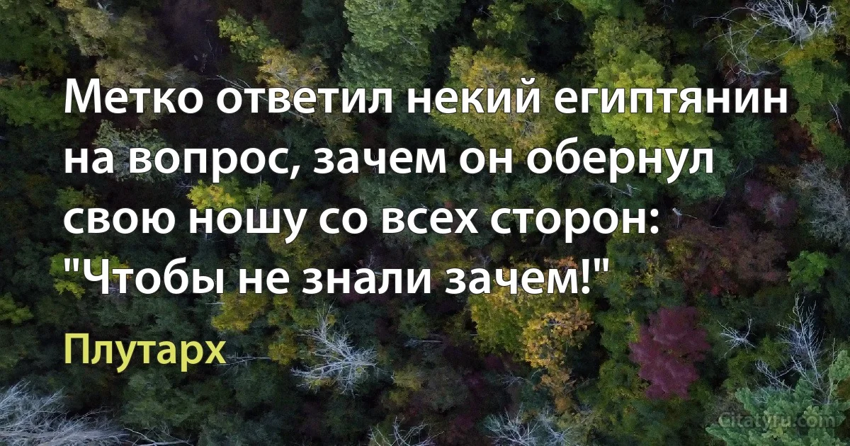 Метко ответил некий египтянин на вопрос, зачем он обернул свою ношу со всех сторон: "Чтобы не знали зачем!" (Плутарх)