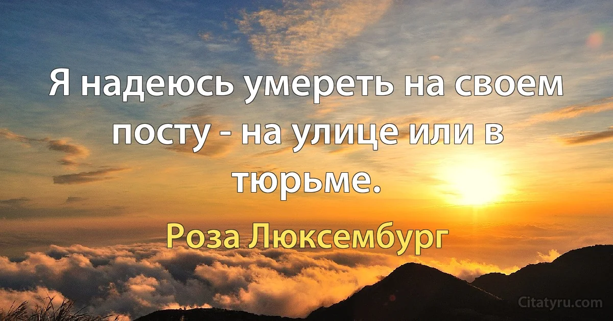 Я надеюсь умереть на своем посту - на улице или в тюрьме. (Роза Люксембург)