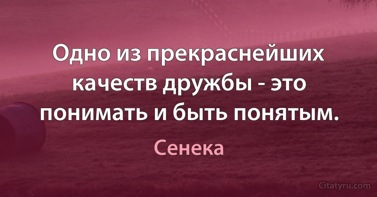 Одно из прекраснейших качеств дружбы - это понимать и быть понятым. (Сенека)