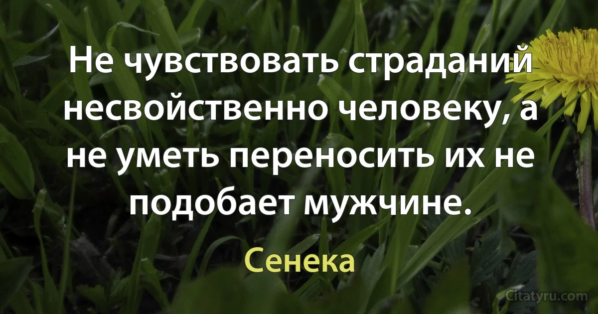 Не чувствовать страданий несвойственно человеку, а не уметь переносить их не подобает мужчине. (Сенека)