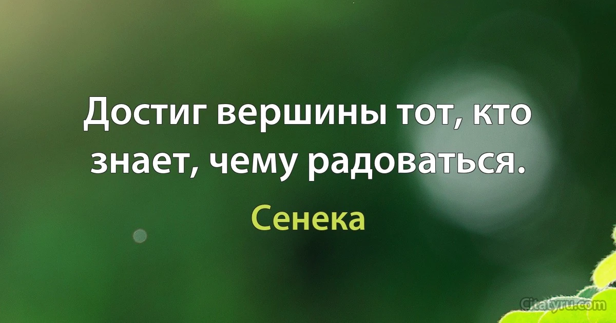 Достиг вершины тот, кто знает, чему радоваться. (Сенека)