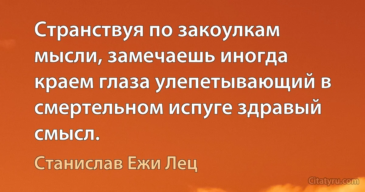 Странствуя по закоулкам мысли, замечаешь иногда краем глаза улепетывающий в смертельном испуге здравый смысл. (Станислав Ежи Лец)