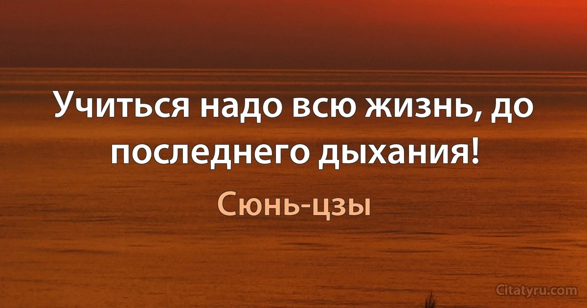 Учиться надо всю жизнь, до последнего дыхания! (Сюнь-цзы)