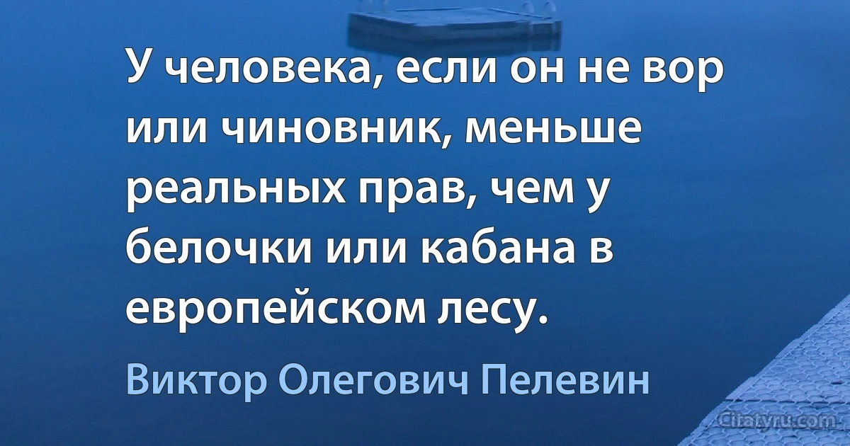 У человека, если он не вор или чиновник, меньше реальных прав, чем у белочки или кабана в европейском лесу. (Виктор Олегович Пелевин)