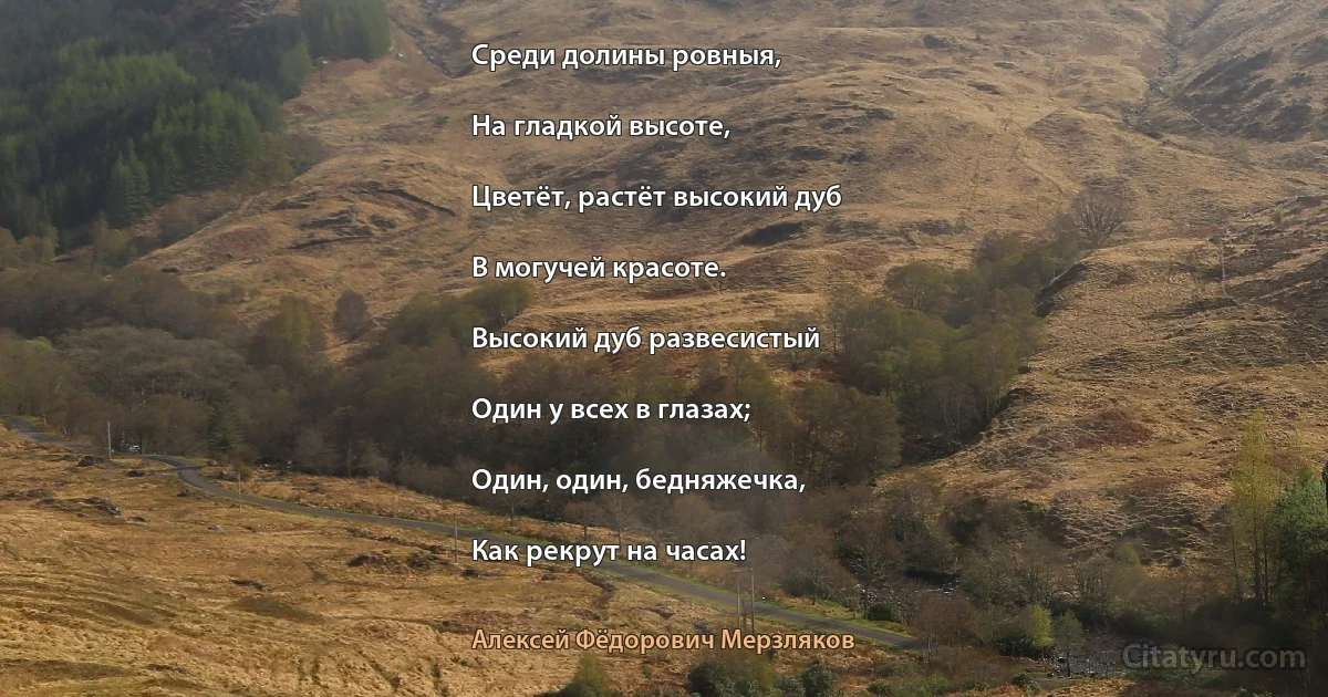 Среди долины ровныя,

На гладкой высоте,

Цветёт, растёт высокий дуб

В могучей красоте.

Высокий дуб развесистый

Один у всех в глазах;

Один, один, бедняжечка,

Как рекрут на часах! (Алексей Фёдорович Мерзляков)