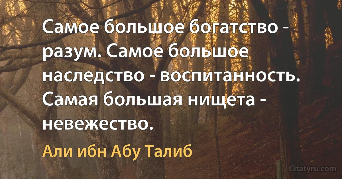 Самое большое богатство - разум. Самое большое наследство - воспитанность. Самая большая нищета - невежество. (Али ибн Абу Талиб)