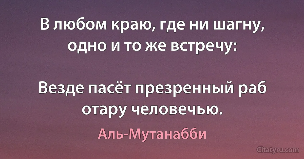 В любом краю, где ни шагну, одно и то же встречу:

Везде пасёт презренный раб отару человечью. (Аль-Мутанабби)