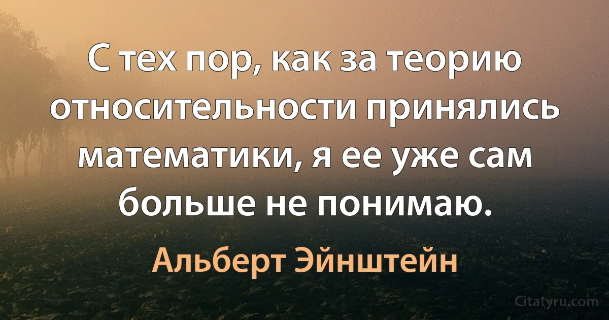 С тех пор, как за теорию относительности принялись математики, я ее уже сам больше не понимаю. (Альберт Эйнштейн)