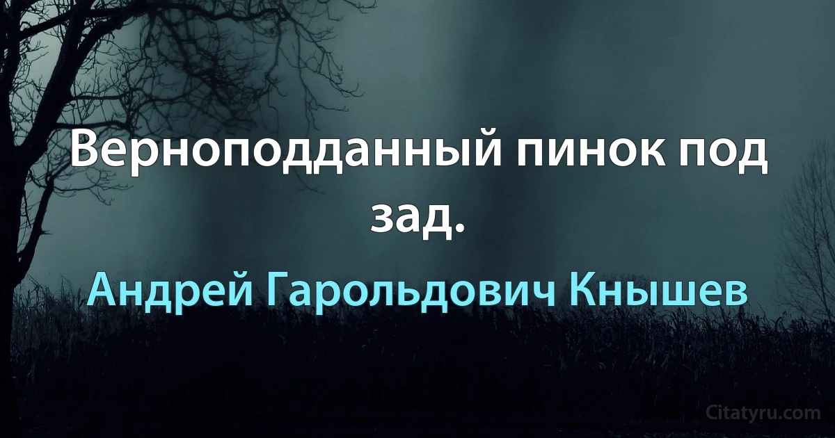 Верноподданный пинок под зад. (Андрей Гарольдович Кнышев)