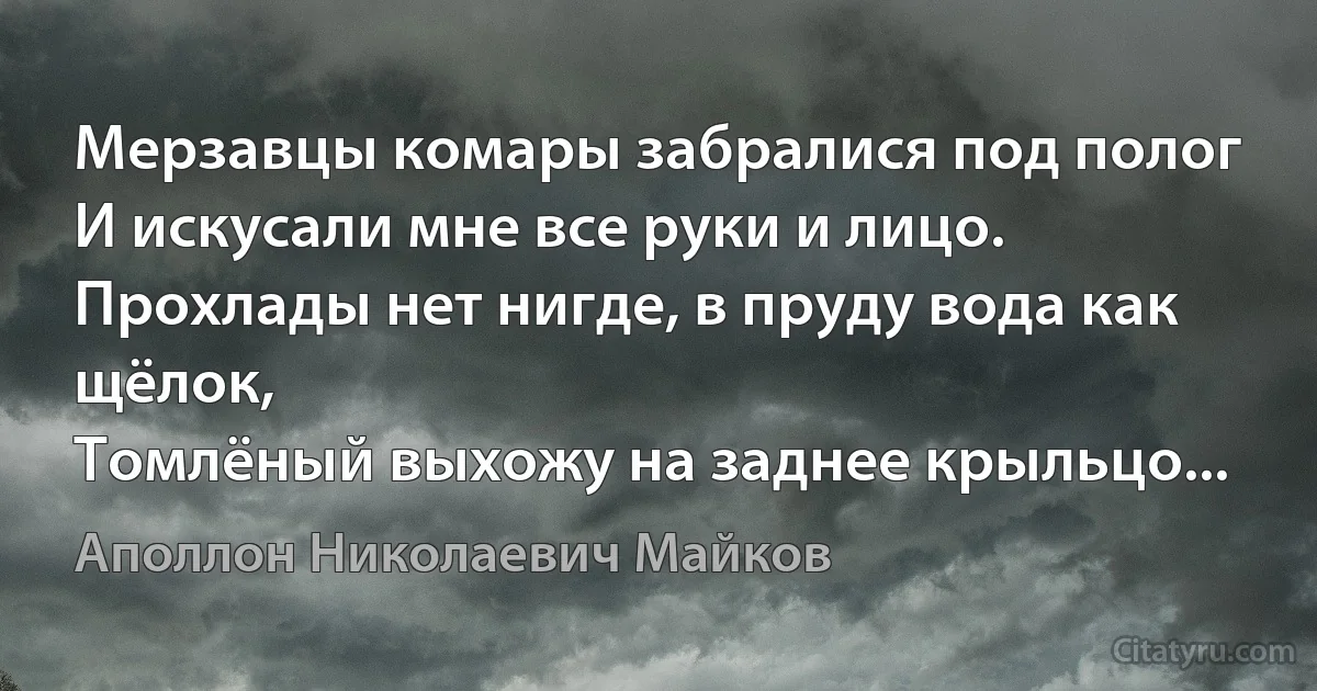 Мерзавцы комары забралися под полог
И искусали мне все руки и лицо.
Прохлады нет нигде, в пруду вода как щёлок,
Томлёный выхожу на заднее крыльцо... (Аполлон Николаевич Майков)