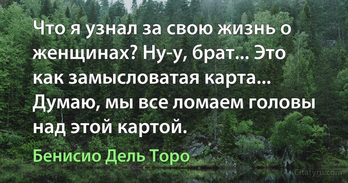 Что я узнал за свою жизнь о женщинах? Ну-у, брат... Это как замысловатая карта... Думаю, мы все ломаем головы над этой картой. (Бенисио Дель Торо)