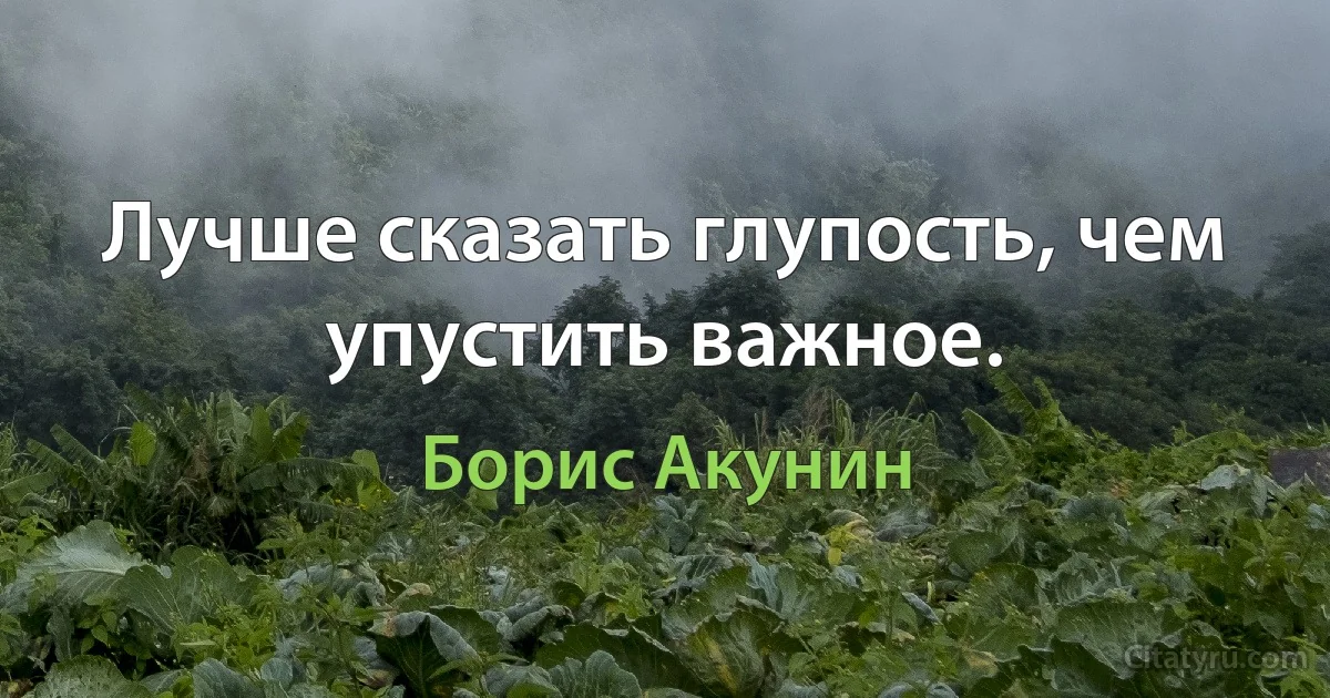 Лучше сказать глупость, чем упустить важное. (Борис Акунин)