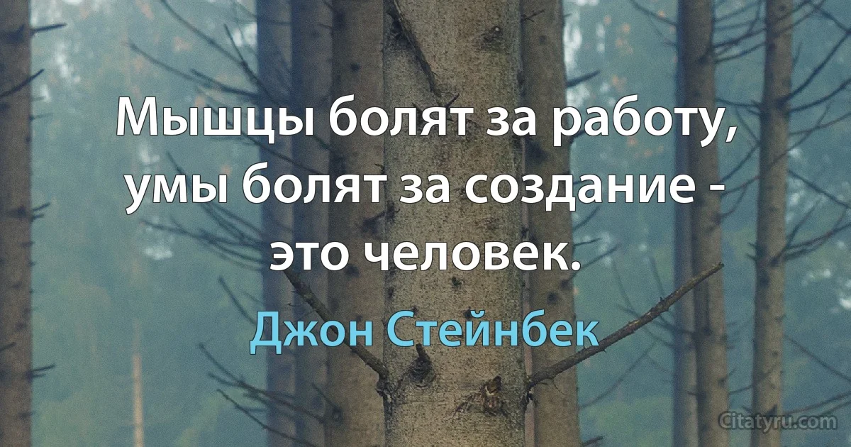 Мышцы болят за работу, умы болят за создание - это человек. (Джон Стейнбек)