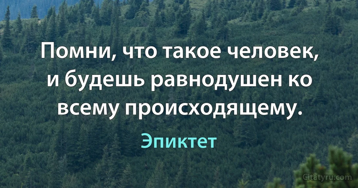 Помни, что такое человек, и будешь равнодушен ко всему происходящему. (Эпиктет)