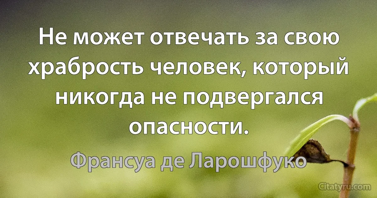 Не может отвечать за свою храбрость человек, который никогда не подвергался опасности. (Франсуа де Ларошфуко)