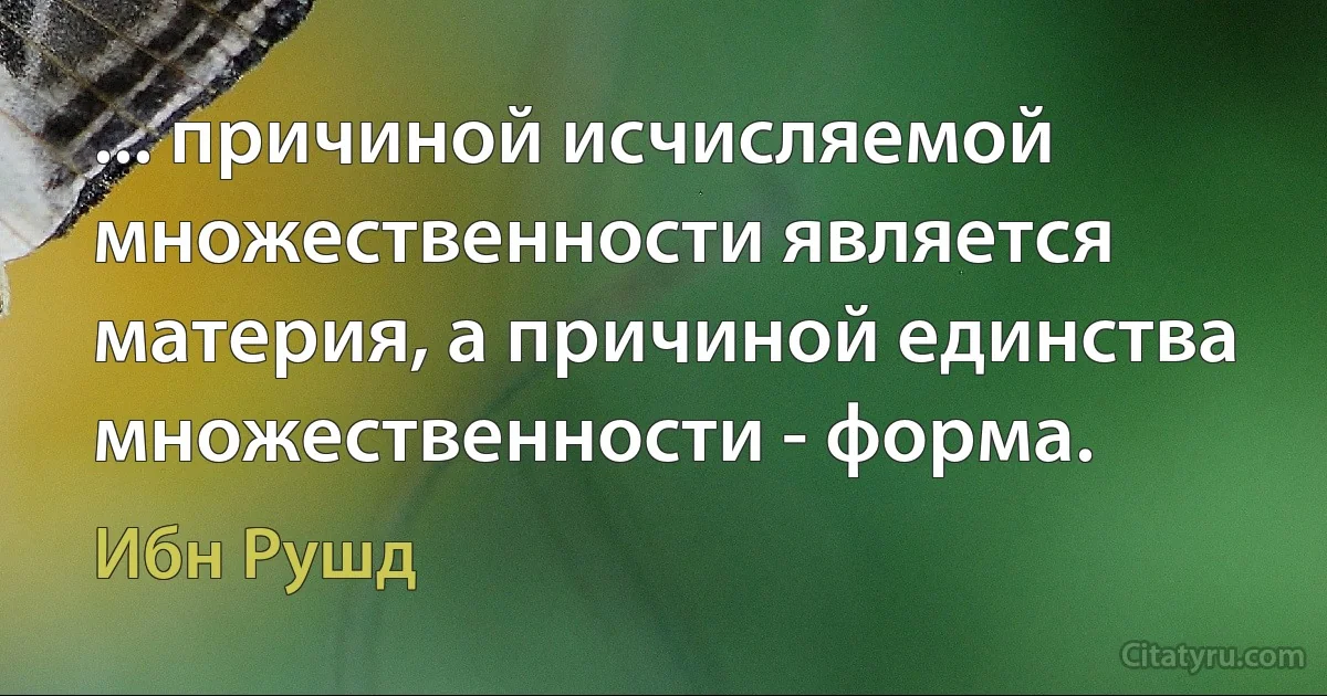 ... причиной исчисляемой множественности является материя, а причиной единства множественности - форма. (Ибн Рушд)