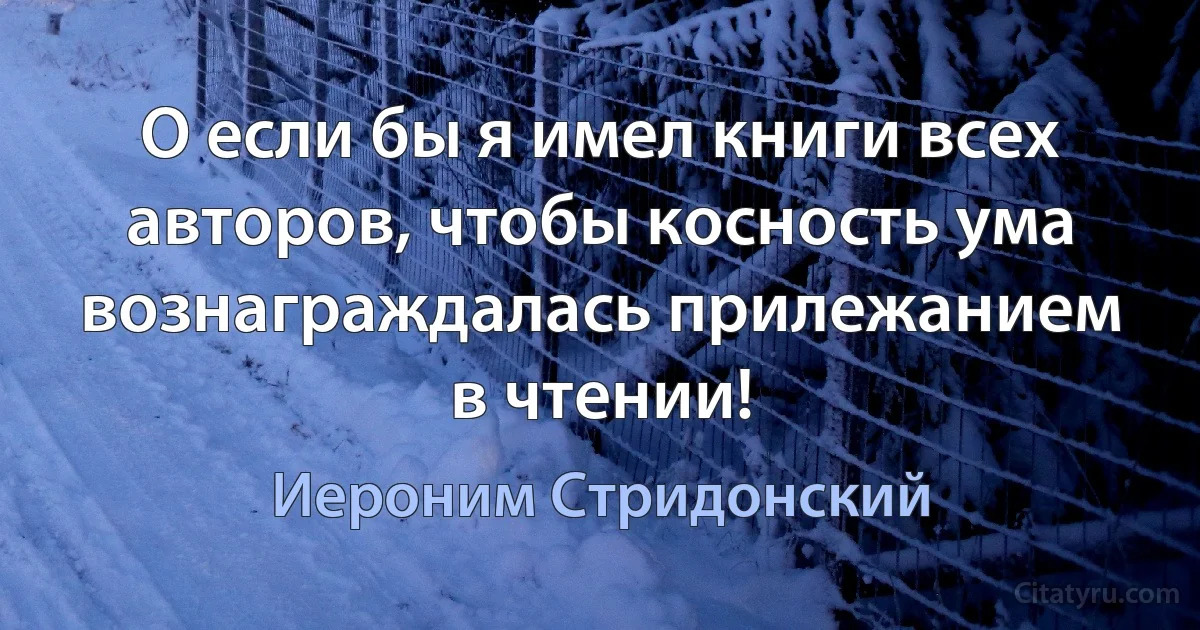 О если бы я имел книги всех авторов, чтобы косность ума вознаграждалась прилежанием в чтении! (Иероним Стридонский)