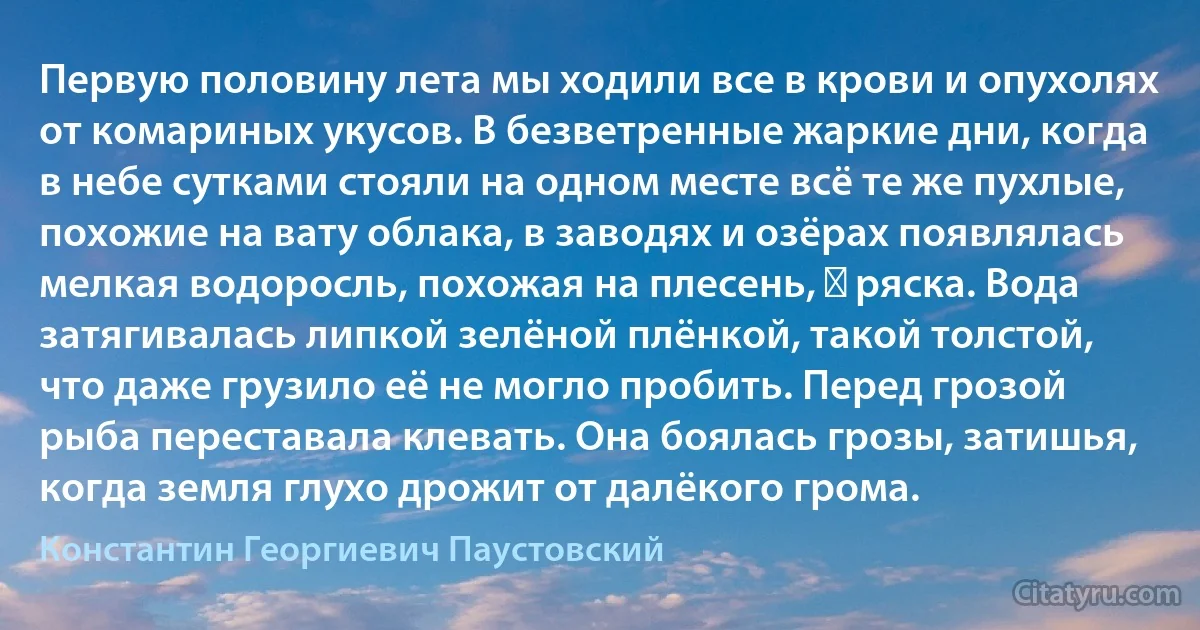 Первую половину лета мы ходили все в крови и опухолях от комариных укусов. В безветренные жаркие дни, когда в небе сутками стояли на одном месте всё те же пухлые, похожие на вату облака, в заводях и озёрах появлялась мелкая водоросль, похожая на плесень, ― ряска. Вода затягивалась липкой зелёной плёнкой, такой толстой, что даже грузило её не могло пробить. Перед грозой рыба переставала клевать. Она боялась грозы, затишья, когда земля глухо дрожит от далёкого грома. (Константин Георгиевич Паустовский)