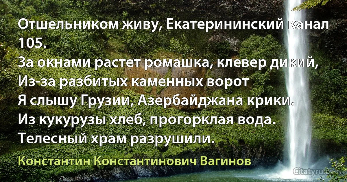 Отшельником живу, Екатерининский канал 105.
За окнами растет ромашка, клевер дикий,
Из-за разбитых каменных ворот
Я слышу Грузии, Азербайджана крики.
Из кукурузы хлеб, прогорклая вода.
Телесный храм разрушили. (Константин Константинович Вагинов)