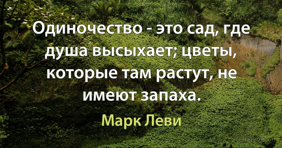 Одиночество - это сад, где душа высыхает; цветы, которые там растут, не имеют запаха. (Марк Леви)