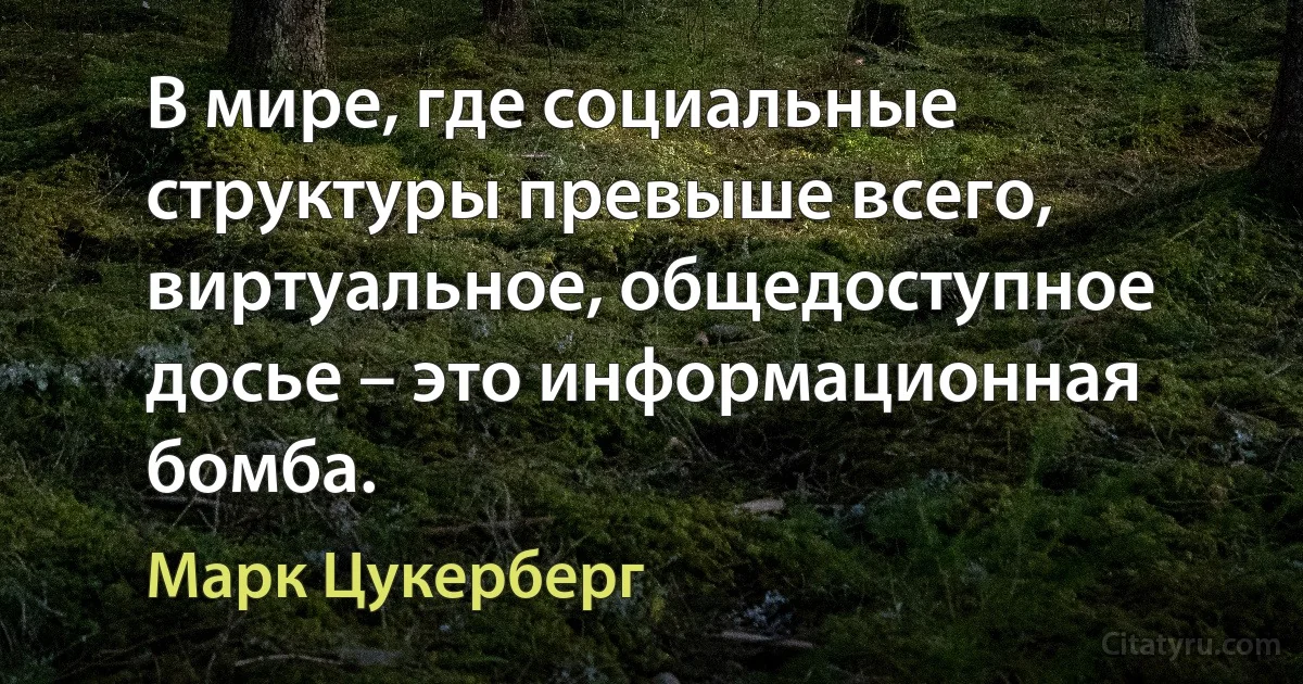 В мире, где социальные структуры превыше всего, виртуальное, общедоступное досье – это информационная бомба. (Марк Цукерберг)