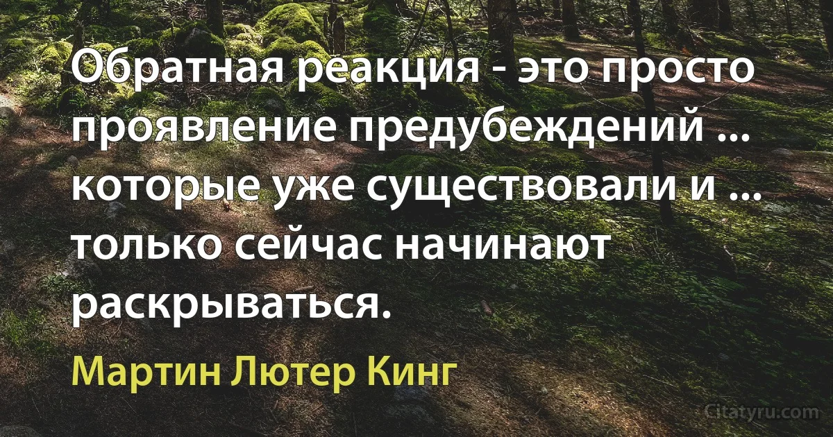 Обратная реакция - это просто проявление предубеждений ... которые уже существовали и ... только сейчас начинают раскрываться. (Мартин Лютер Кинг)