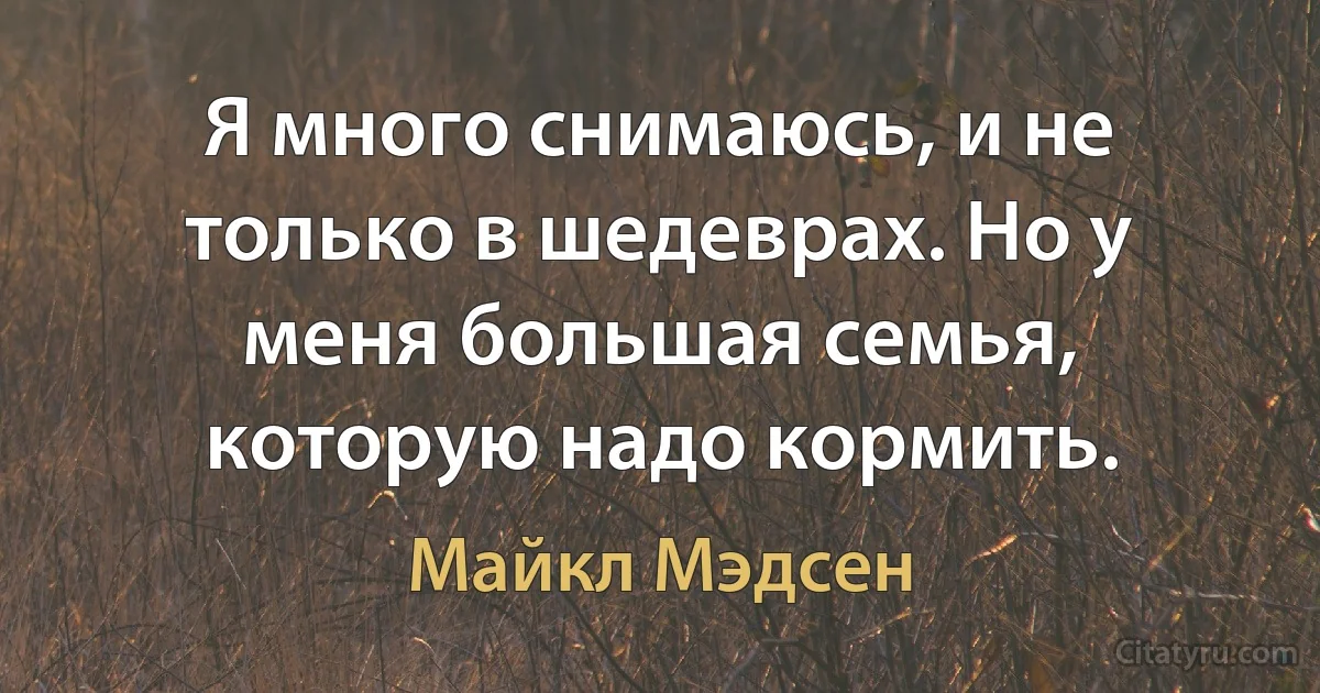 Я много снимаюсь, и не только в шедеврах. Но у меня большая семья, которую надо кормить. (Майкл Мэдсен)