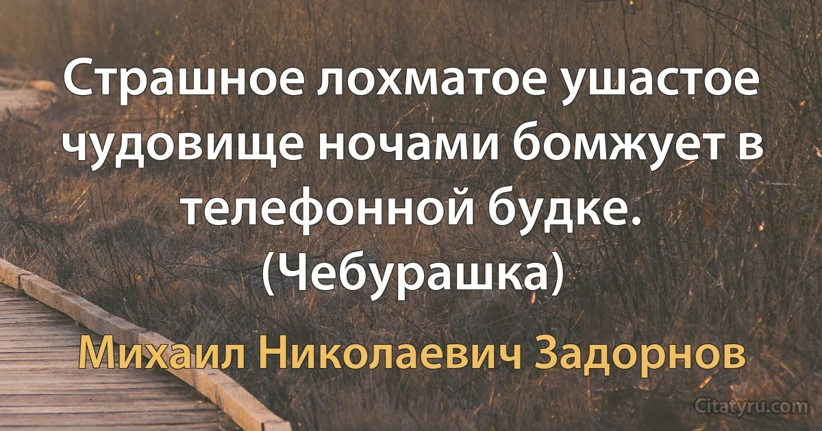 Страшное лохматое ушастое чудовище ночами бомжует в телефонной будке. (Чебурашка) (Михаил Николаевич Задорнов)