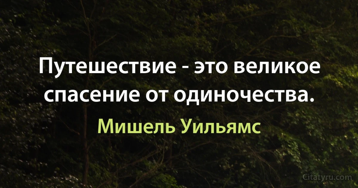 Путешествие - это великое спасение от одиночества. (Мишель Уильямс)