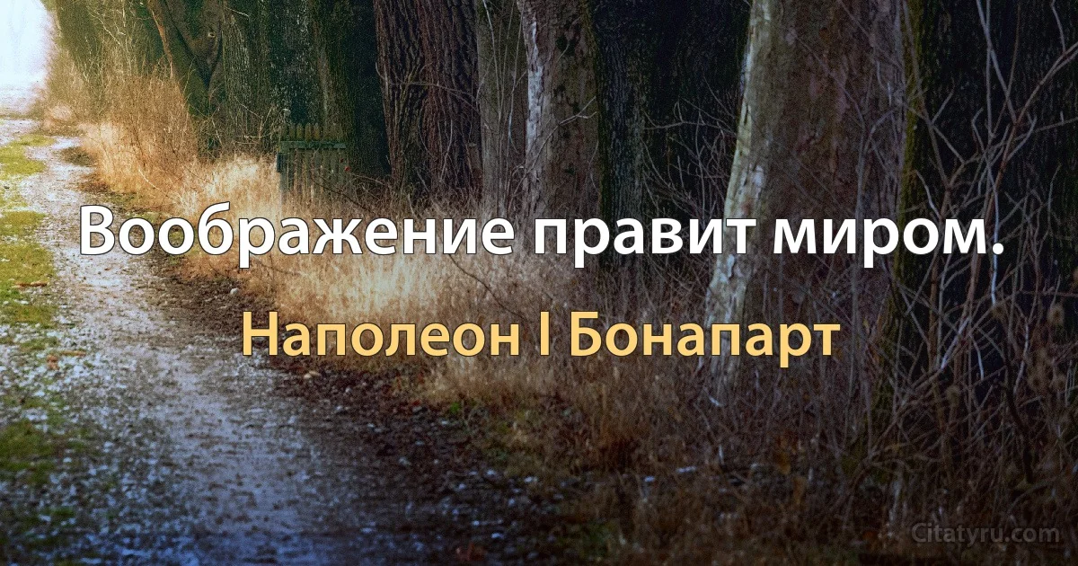 Воображение правит миром. (Наполеон I Бонапарт)