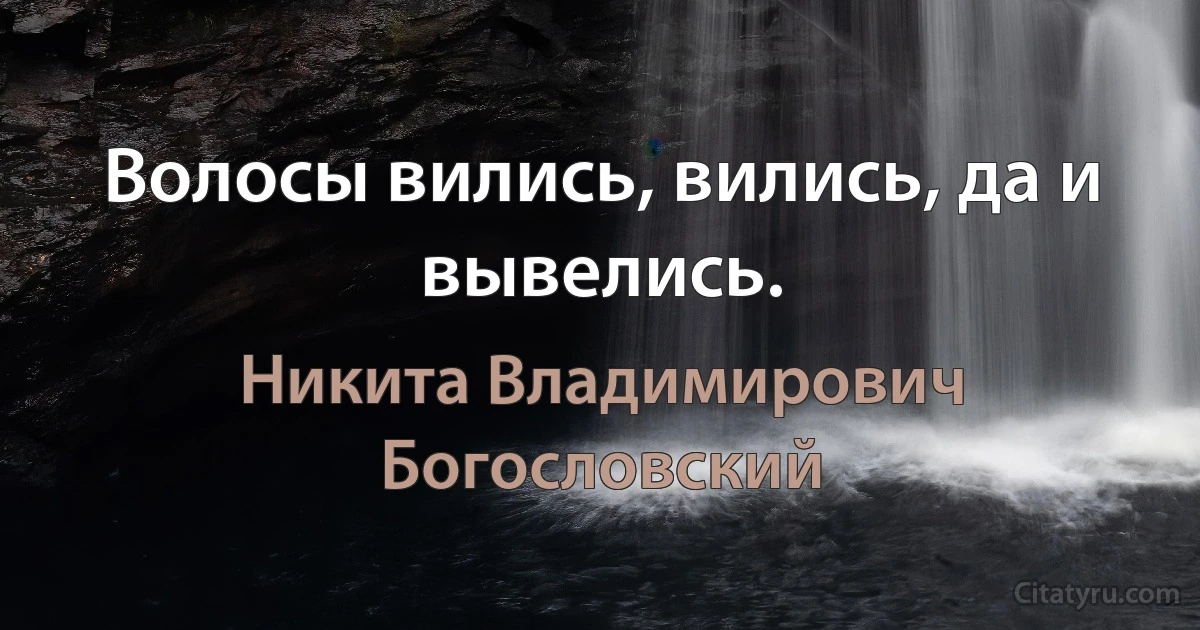 Волосы вились, вились, да и вывелись. (Никита Владимирович Богословский)