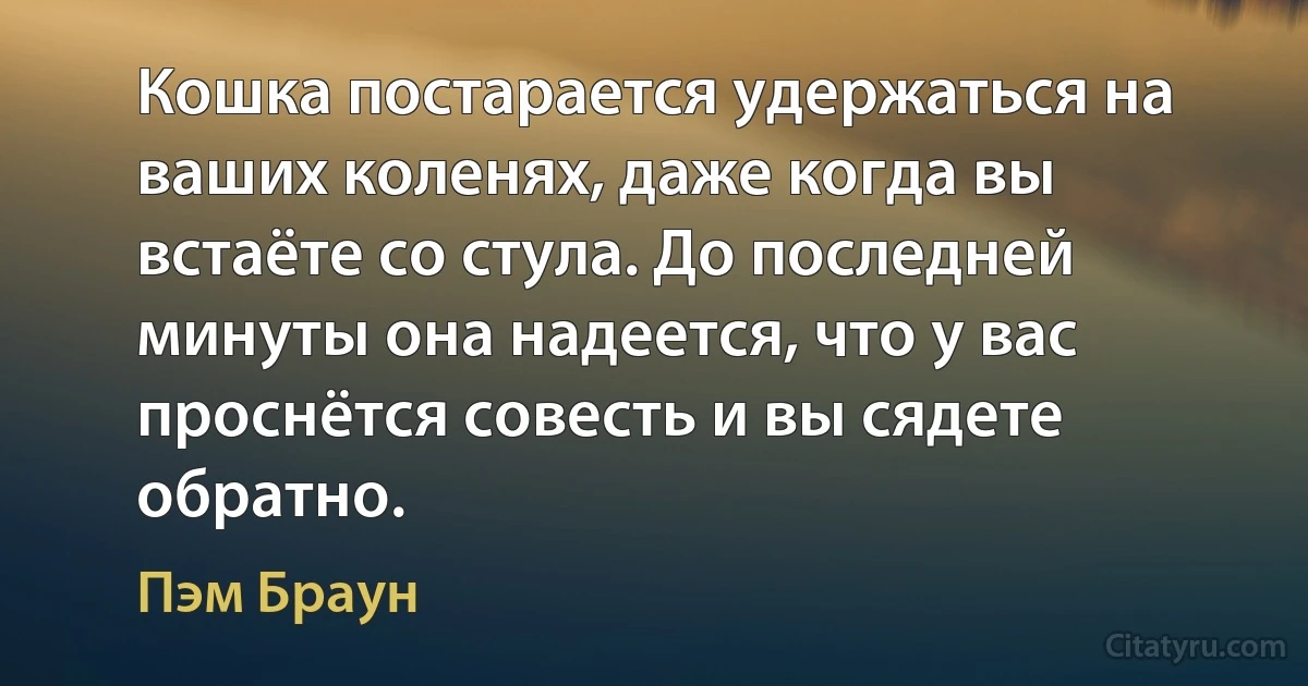 Кошка постарается удержаться на ваших коленях, даже когда вы встаёте со стула. До последней минуты она надеется, что у вас проснётся совесть и вы сядете обратно. (Пэм Браун)