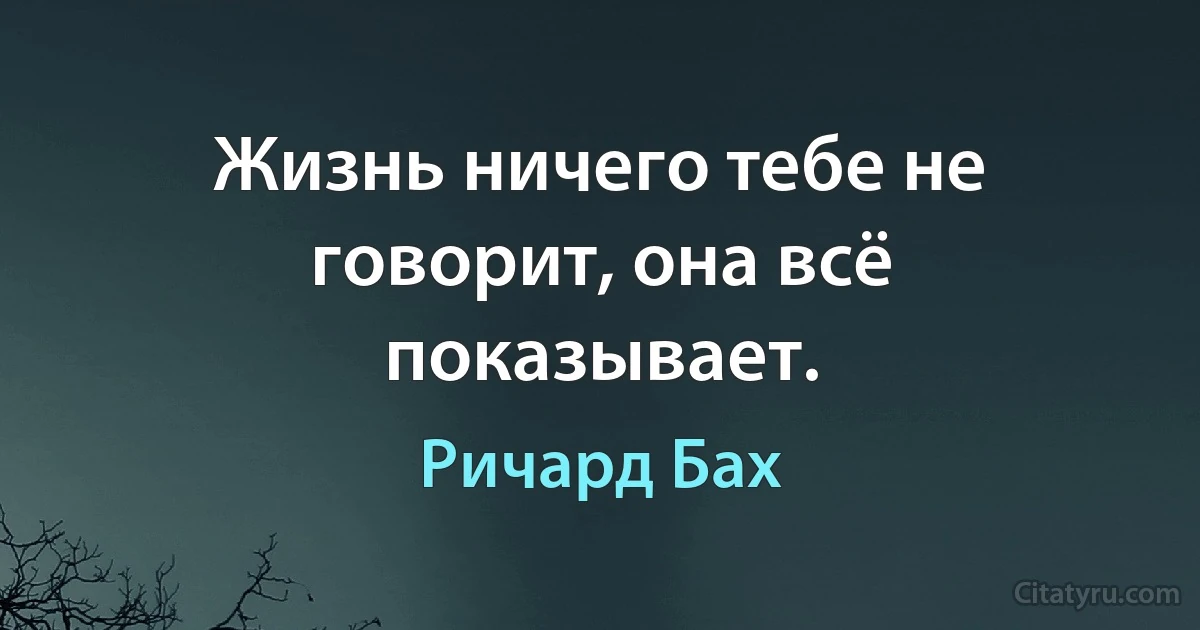 Жизнь ничего тебе не говорит, она всё показывает. (Ричард Бах)