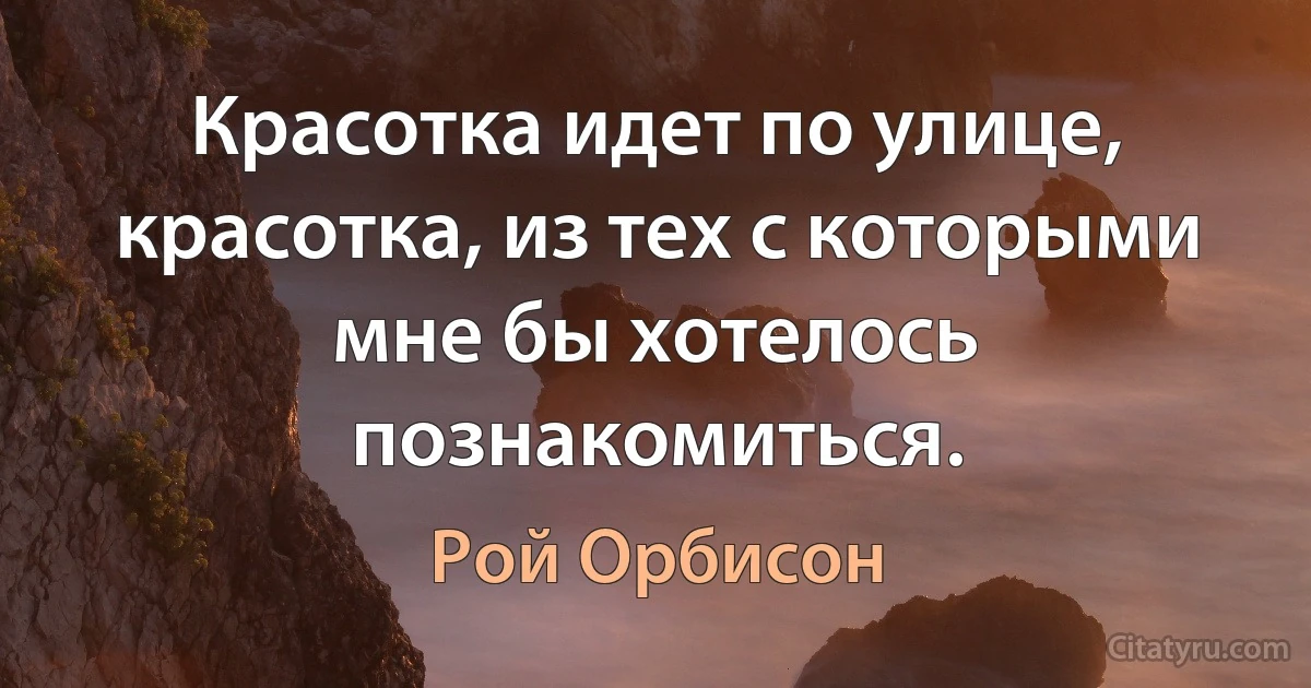 Красотка идет по улице, красотка, из тех с которыми мне бы хотелось познакомиться. (Рой Орбисон)