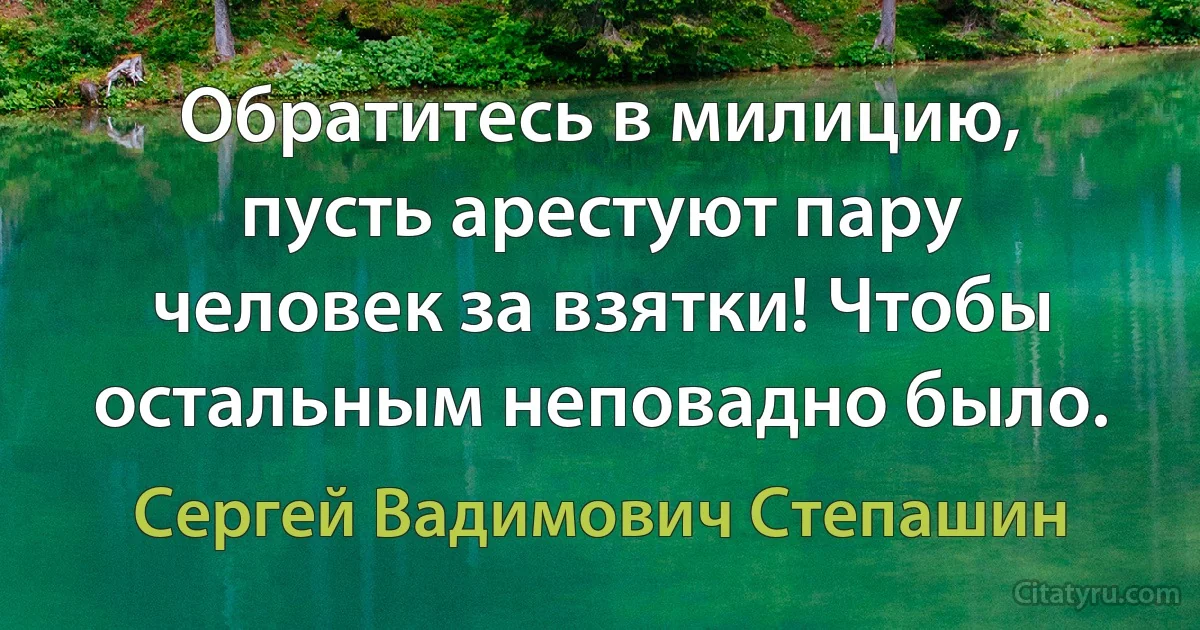 Обратитесь в милицию, пусть арестуют пару человек за взятки! Чтобы остальным неповадно было. (Сергей Вадимович Степашин)