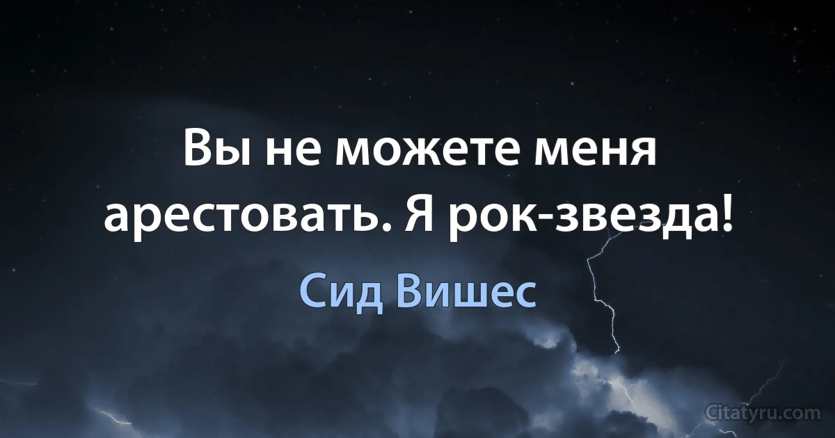 Вы не можете меня арестовать. Я рок-звезда! (Сид Вишес)