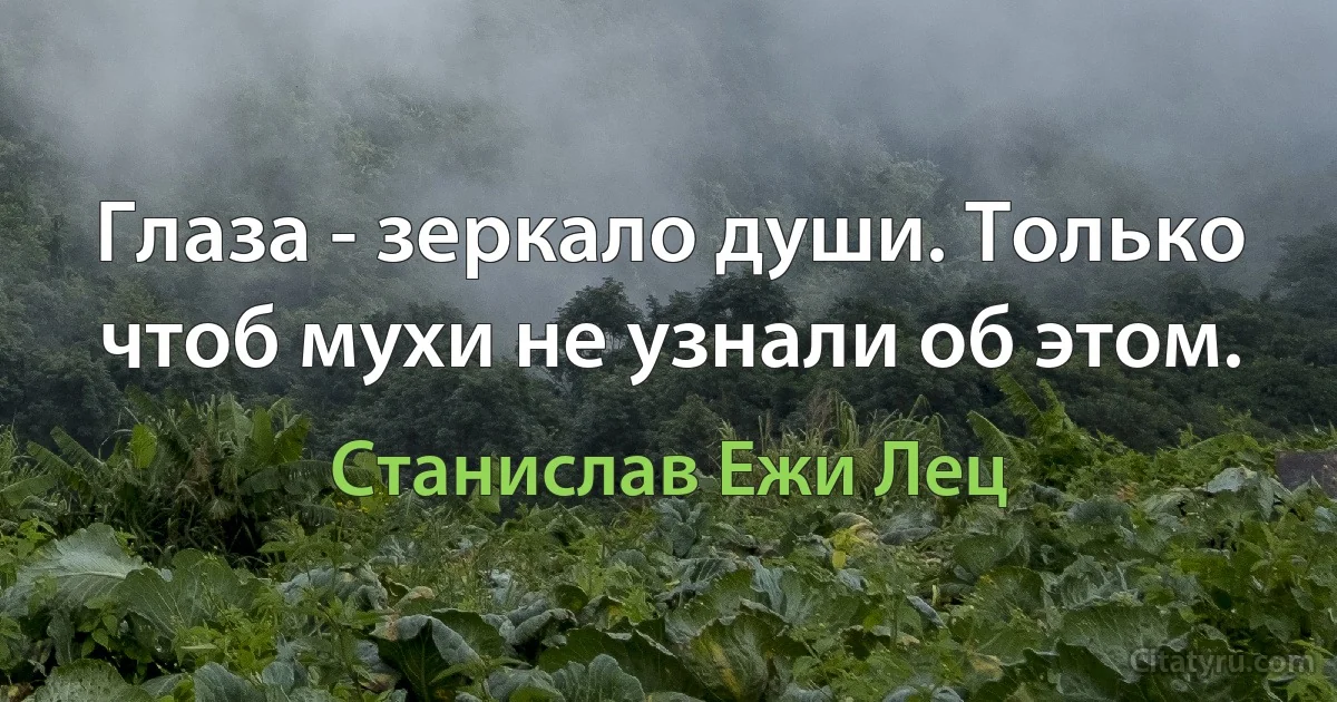 Глаза - зеркало души. Только чтоб мухи не узнали об этом. (Станислав Ежи Лец)