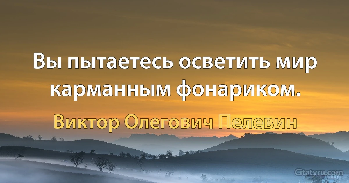 Вы пытаетесь осветить мир карманным фонариком. (Виктор Олегович Пелевин)