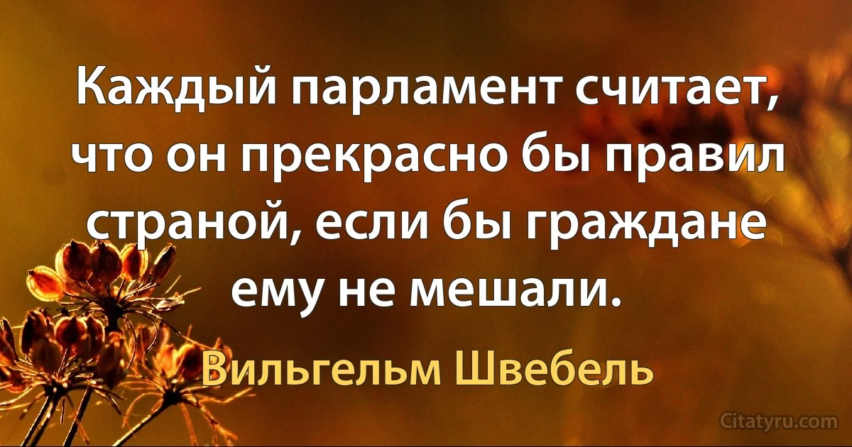 Каждый парламент считает, что он прекрасно бы правил страной, если бы граждане ему не мешали. (Вильгельм Швебель)