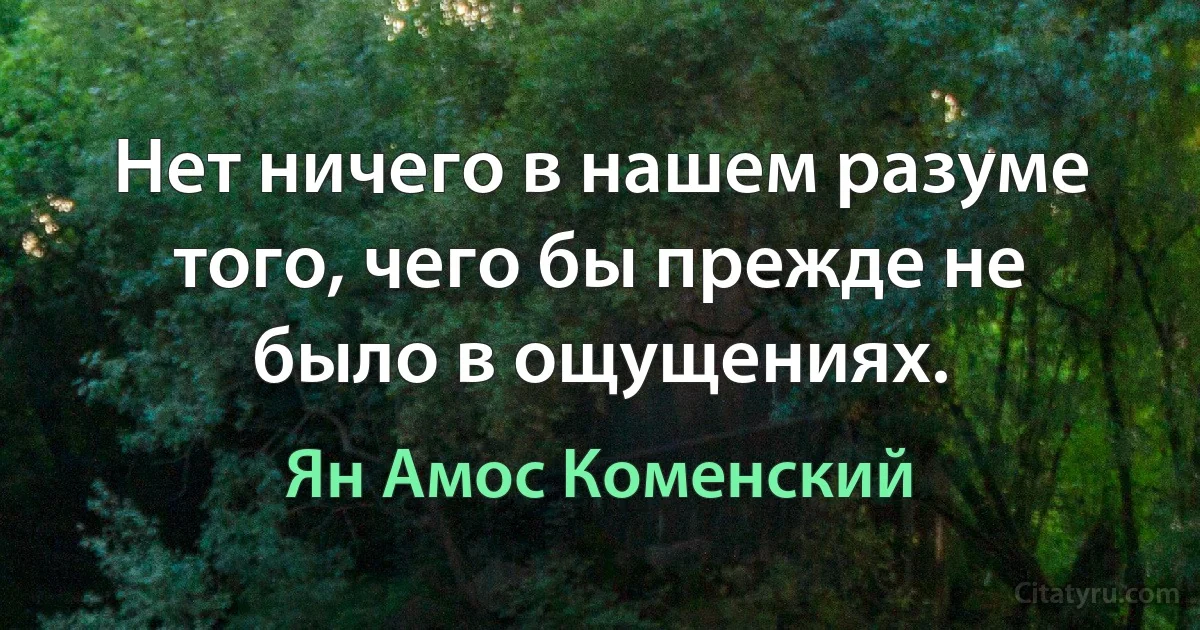 Нет ничего в нашем разуме того, чего бы прежде не было в ощущениях. (Ян Амос Коменский)