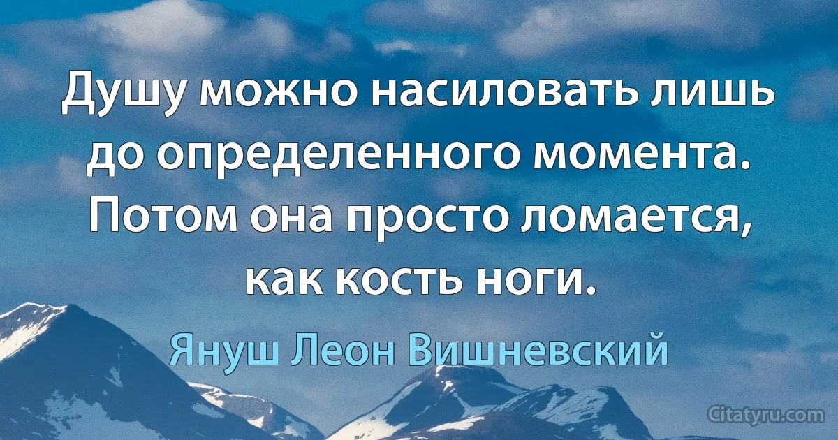 Душу можно насиловать лишь до определенного момента. Потом она просто ломается, как кость ноги. (Януш Леон Вишневский)