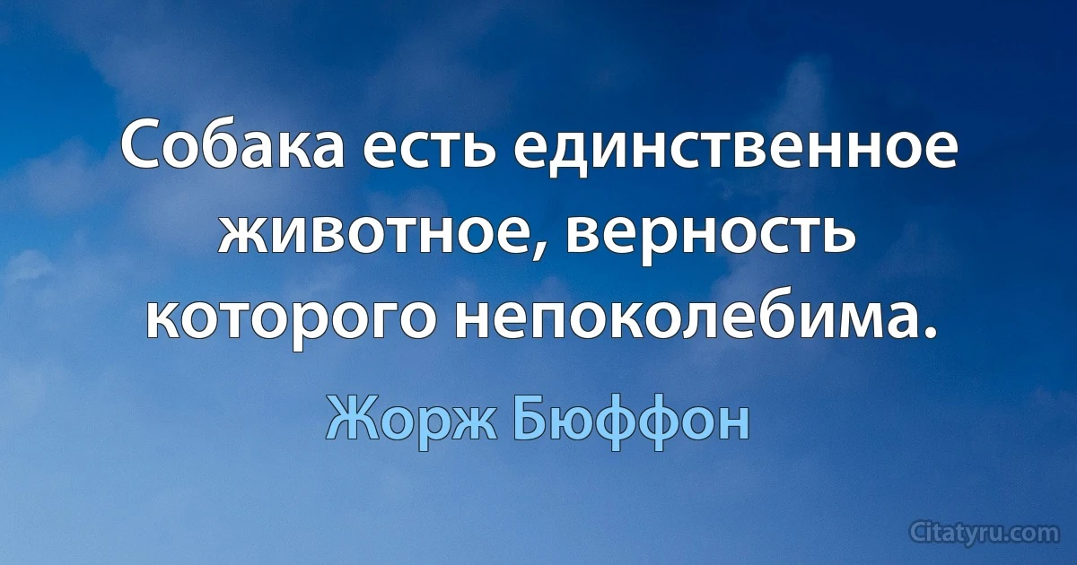 Собака есть единственное животное, верность которого непоколебима. (Жорж Бюффон)