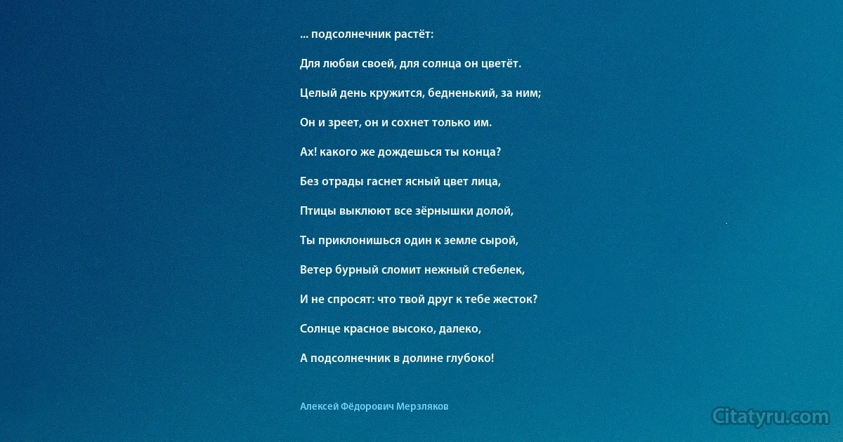 ... подсолнечник растёт:

Для любви своей, для солнца он цветёт.

Целый день кружится, бедненький, за ним;

Он и зреет, он и сохнет только им.

Ах! какого же дождешься ты конца?

Без отрады гаснет ясный цвет лица,

Птицы выклюют все зёрнышки долой,

Ты приклонишься один к земле сырой,

Ветер бурный сломит нежный стебелек,

И не спросят: что твой друг к тебе жесток?

Солнце красное высоко, далеко,

А подсолнечник в долине глубоко! (Алексей Фёдорович Мерзляков)