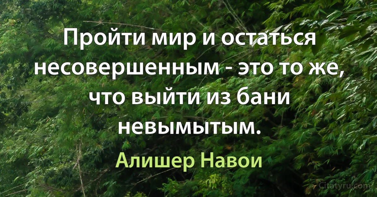 Пройти мир и остаться несовершенным - это то же, что выйти из бани невымытым. (Алишер Навои)