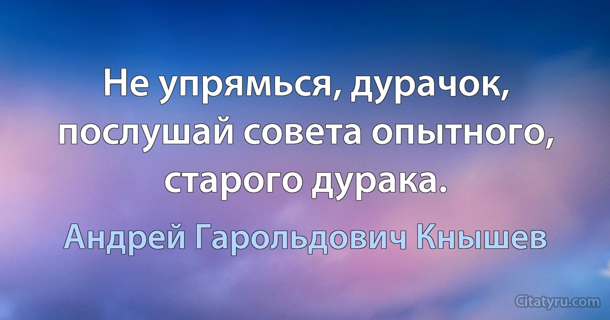 Не упрямься, дурачок, послушай совета опытного, старого дурака. (Андрей Гарольдович Кнышев)