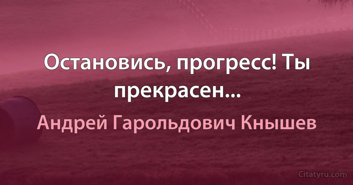 Остановись, прогресс! Ты прекрасен... (Андрей Гарольдович Кнышев)