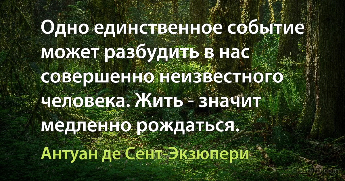 Одно единственное событие может разбудить в нас совершенно неизвестного человека. Жить - значит медленно рождаться. (Антуан де Сент-Экзюпери)